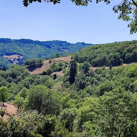 Maison Charmante A Florentin La Capelle Avec Jardin Et Vue Montagne Kültér fotó